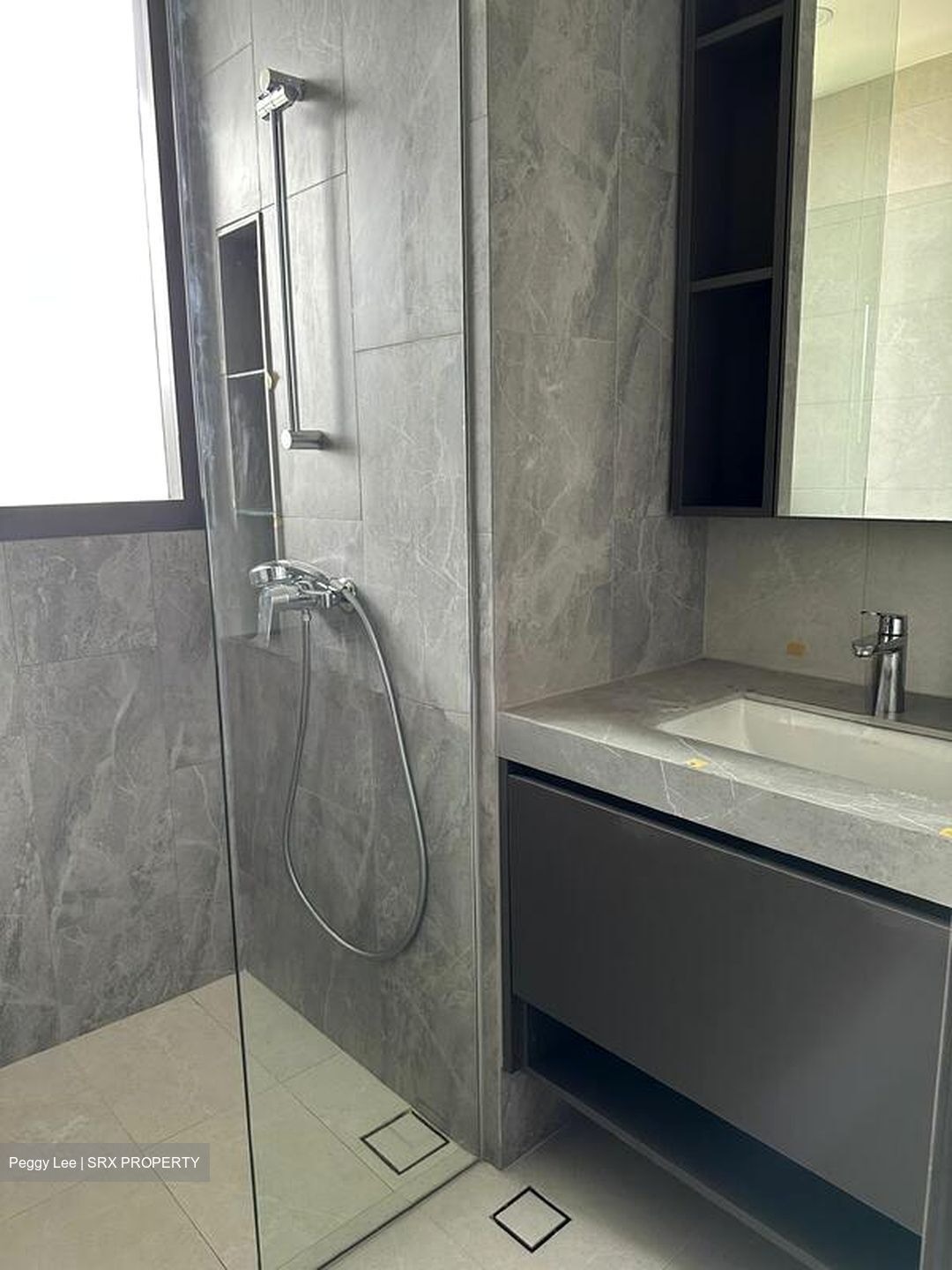 Parc Clematis (D5), Apartment #496696481